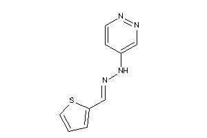 Pyridazin-4-yl-(2-thenylideneamino)amine