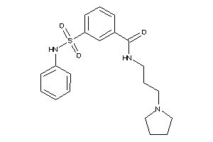 3-(phenylsulfamoyl)-N-(3-pyrrolidinopropyl)benzamide