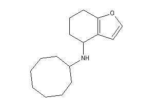 Cyclooctyl(4,5,6,7-tetrahydrobenzofuran-4-yl)amine