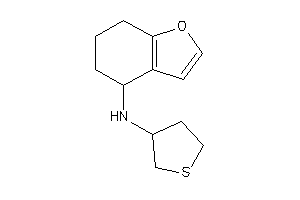 Image of 4,5,6,7-tetrahydrobenzofuran-4-yl(tetrahydrothiophen-3-yl)amine