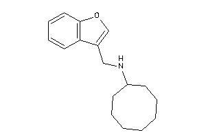 Benzofuran-3-ylmethyl(cyclooctyl)amine