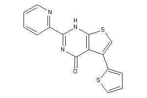 2-(2-pyridyl)-5-(2-thienyl)-1H-thieno[2,3-d]pyrimidin-4-one