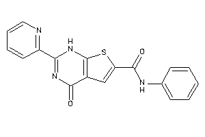 4-keto-N-phenyl-2-(2-pyridyl)-1H-thieno[2,3-d]pyrimidine-6-carboxamide