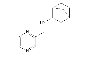 2-norbornyl(pyrazin-2-ylmethyl)amine