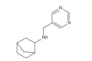 2-norbornyl(5-pyrimidylmethyl)amine