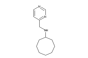 Cyclooctyl(4-pyrimidylmethyl)amine