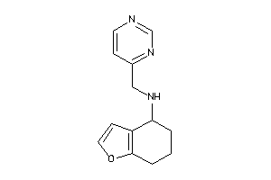 Image of 4-pyrimidylmethyl(4,5,6,7-tetrahydrobenzofuran-4-yl)amine