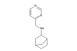 2-norbornyl(4-pyrimidylmethyl)amine