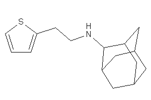 Image of 2-adamantyl-[2-(2-thienyl)ethyl]amine