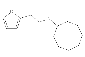 Cyclooctyl-[2-(2-thienyl)ethyl]amine