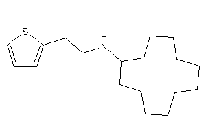 Cyclododecyl-[2-(2-thienyl)ethyl]amine