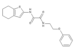 N-(2-phenoxyethyl)-N'-(4,5,6,7-tetrahydrobenzothiophen-2-yl)oxamide