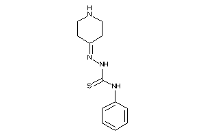 1-phenyl-3-(4-piperidylideneamino)thiourea