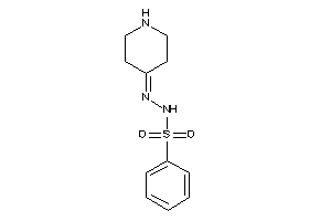 N-(4-piperidylideneamino)benzenesulfonamide