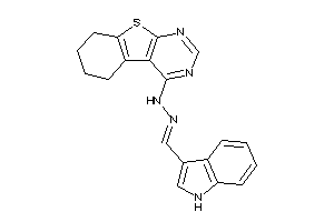 Image of (1H-indol-3-ylmethyleneamino)-(5,6,7,8-tetrahydrobenzothiopheno[2,3-d]pyrimidin-4-yl)amine
