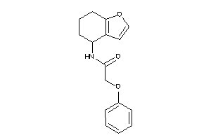 2-phenoxy-N-(4,5,6,7-tetrahydrobenzofuran-4-yl)acetamide