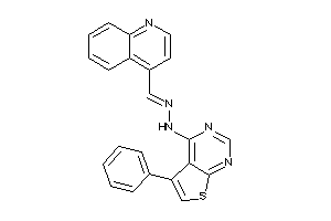 (5-phenylthieno[2,3-d]pyrimidin-4-yl)-(4-quinolylmethyleneamino)amine