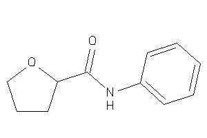 N-phenyltetrahydrofuran-2-carboxamide