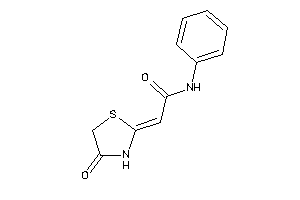 2-(4-ketothiazolidin-2-ylidene)-N-phenyl-acetamide