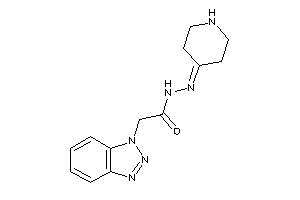 2-(benzotriazol-1-yl)-N-(4-piperidylideneamino)acetamide