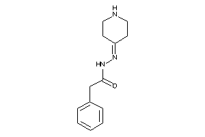 2-phenyl-N-(4-piperidylideneamino)acetamide