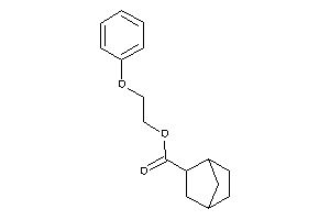 Norbornane-2-carboxylic Acid 2-phenoxyethyl Ester