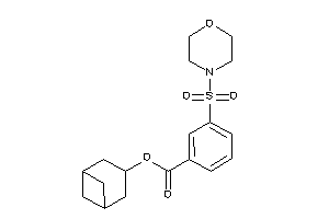 3-morpholinosulfonylbenzoic Acid Norpinan-3-yl Ester