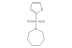 1-(2-thienylsulfonyl)azepane