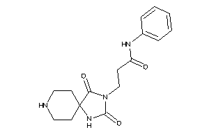 Image of 3-(2,4-diketo-1,3,8-triazaspiro[4.5]decan-3-yl)-N-phenyl-propionamide