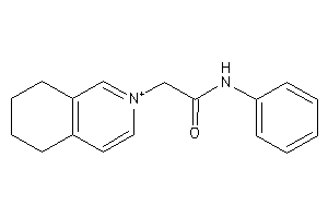 N-phenyl-2-(5,6,7,8-tetrahydroisoquinolin-2-ium-2-yl)acetamide