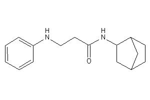 3-anilino-N-(2-norbornyl)propionamide