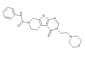 Keto-(2-morpholinoethyl)-N-phenyl-BLAHcarboxamide