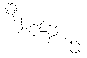 N-benzyl-keto-(2-morpholinoethyl)BLAHcarboxamide