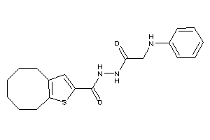 N'-(2-anilinoacetyl)-4,5,6,7,8,9-hexahydrocycloocta[b]thiophene-2-carbohydrazide