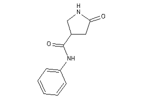 5-keto-N-phenyl-pyrrolidine-3-carboxamide