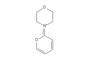 Image of 4-pyran-2-ylidenemorpholin-4-ium