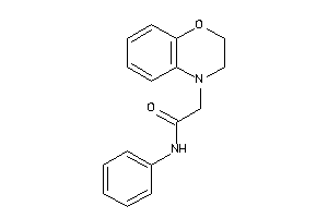 2-(2,3-dihydro-1,4-benzoxazin-4-yl)-N-phenyl-acetamide