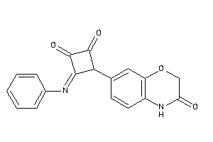 3-(3-keto-4H-1,4-benzoxazin-7-yl)-4-phenylimino-cyclobutane-1,2-quinone