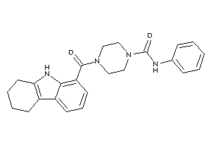 N-phenyl-4-(6,7,8,9-tetrahydro-5H-carbazole-1-carbonyl)piperazine-1-carboxamide