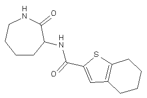 N-(2-ketoazepan-3-yl)-4,5,6,7-tetrahydrobenzothiophene-2-carboxamide