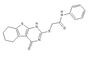Image of 2-[(4-keto-5,6,7,8-tetrahydro-1H-benzothiopheno[2,3-d]pyrimidin-2-yl)thio]-N-phenyl-acetamide
