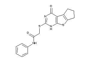 Image of 2-[(ketoBLAHyl)thio]-N-phenyl-acetamide
