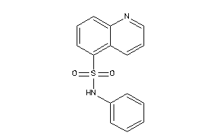 Image of N-phenylquinoline-5-sulfonamide