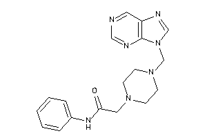 N-phenyl-2-[4-(purin-9-ylmethyl)piperazino]acetamide