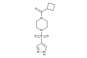 Cyclobutyl-[4-(1H-pyrazol-4-ylsulfonyl)piperazino]methanone