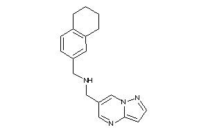 Pyrazolo[1,5-a]pyrimidin-6-ylmethyl(tetralin-6-ylmethyl)amine