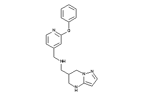 (2-phenoxy-4-pyridyl)methyl-(4,5,6,7-tetrahydropyrazolo[1,5-a]pyrimidin-6-ylmethyl)amine