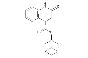 2-keto-3,4-dihydro-1H-quinoline-4-carboxylic Acid Norpinan-3-yl Ester