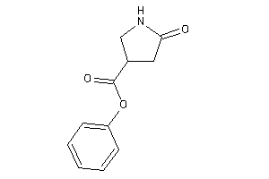 5-ketopyrrolidine-3-carboxylic Acid Phenyl Ester