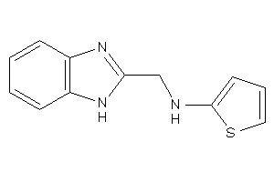 1H-benzimidazol-2-ylmethyl(2-thienyl)amine